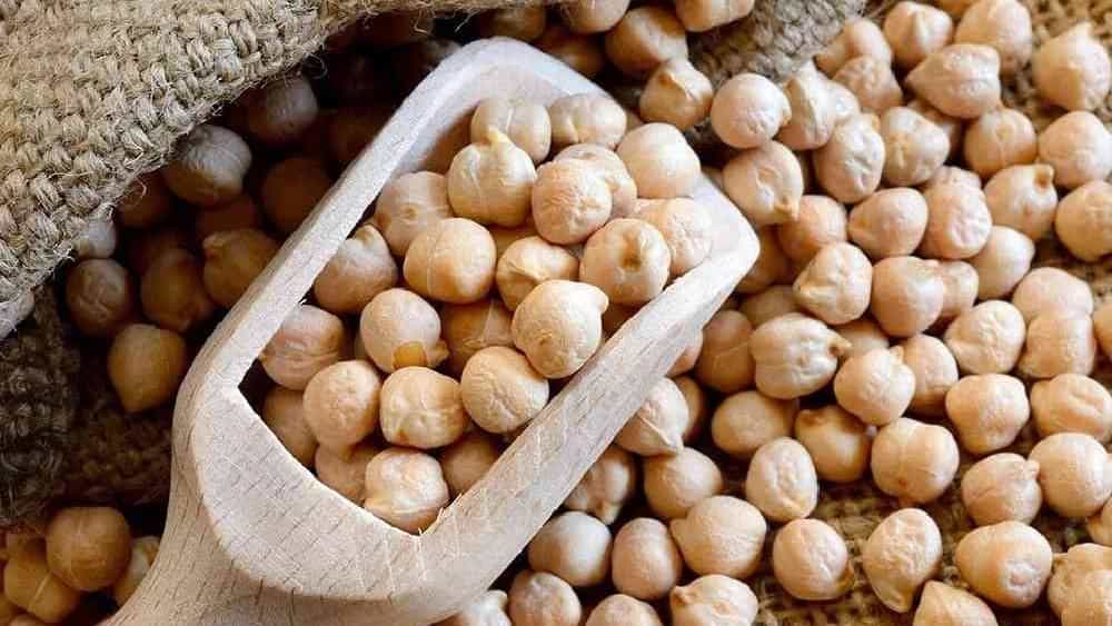 فروش عمده و صادرات نخود سفید در همدان