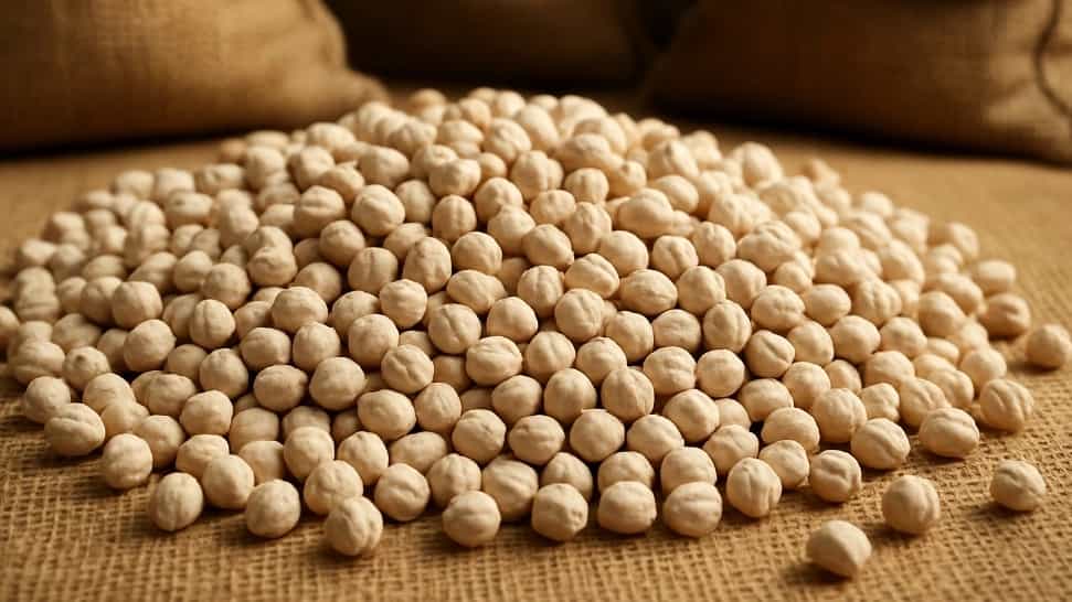 نخود برتر، بهترین گزینه برای خرید عمده نخود سفید